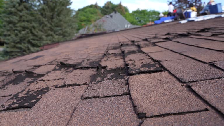 Best Storm Damage Roof Repair  in Baraga, MI