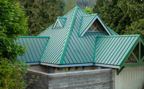 Best Roof Maintenance  in Baraga, MI