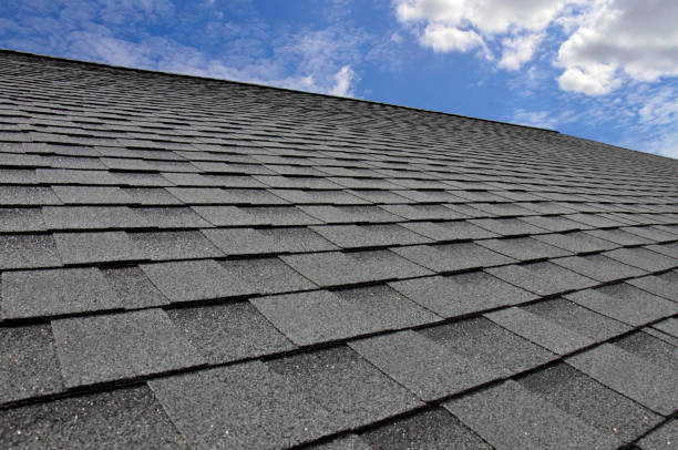 Best Roof Ventilation Installation  in Baraga, MI