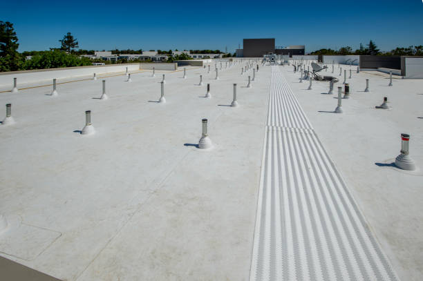 Best Sheet Metal Roofing  in Baraga, MI